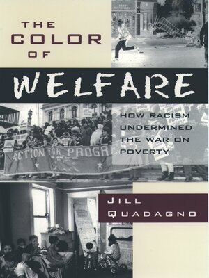 cover image of The Color of Welfare